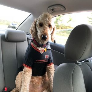 Meet your Posher, Layla